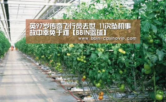 BBIN电竞