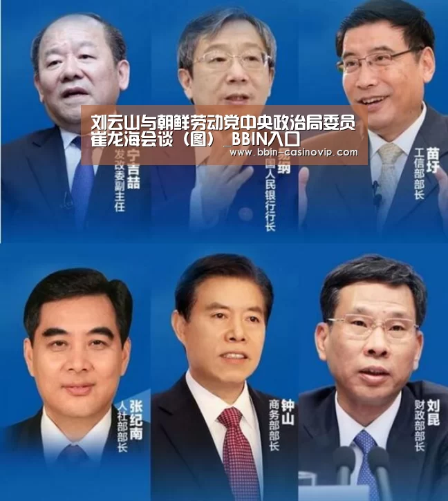 刘云山与朝鲜劳动党中央政治局委员崔龙海会谈(图)_BBIN入口(图1) BBIN篮球