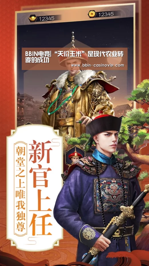 BBIN篮球