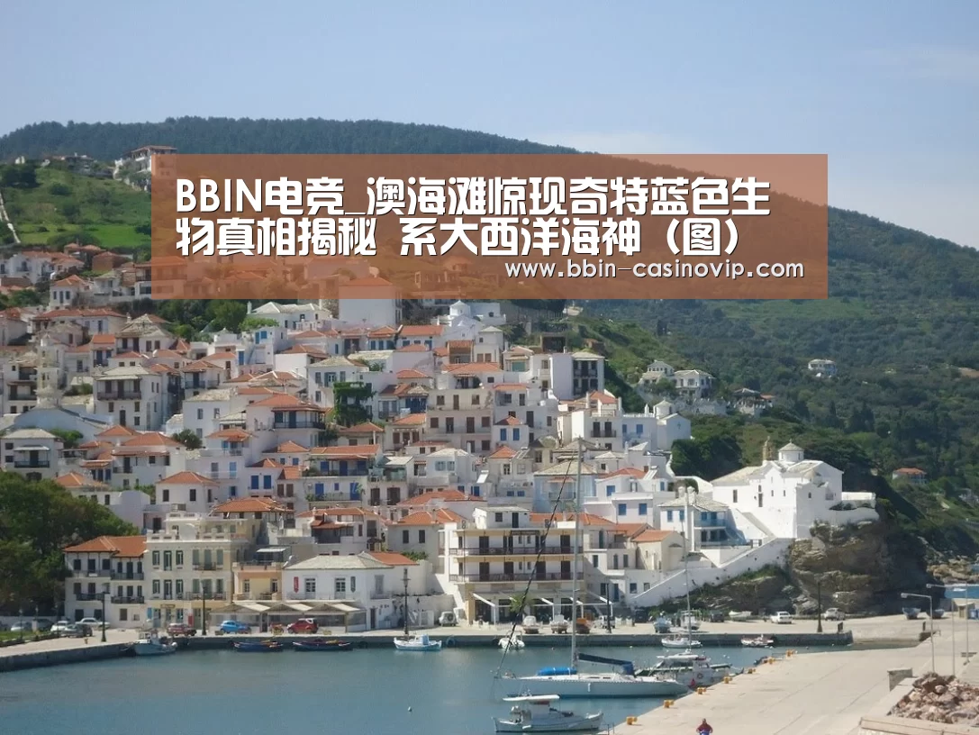 BBIN电竞_澳海滩惊现奇特蓝色生物真相揭秘 系大西洋海神(图)(图4) BBIN入口